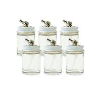 Paasche Airbrush H-1-OZ-6P Assembly 1oz Glass Airbrush Paint Bottle, 1 oz, Clear