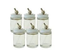 Paasche Airbrush VL-1-OZ-6P Assembly 1oz Glass Airbrush Paint Bottle, Clear