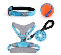 Paawpal Adjustable Dog Harness - No Pull, Reflective, Soft Padded for Small, Medium, Large Dogs - Includes Leash and Collar Turquoise M