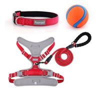 Paawpal Adjustable Dog Harness - No Pull, Reflective, Soft Padded for Small, Medium, Large Dogs - Includes Leash and Collar Red L