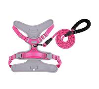 Paawpal Adjustable Dog Harness - No Pull, Reflective, Soft Padded for Small, Medium, Large Dogs - Includes Leash Pink XL