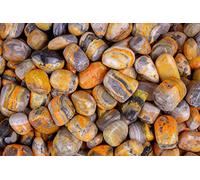 Pachamama Essentials Bumble Bee Jasper Tumbled Stone 20-30 mm - Healing Stone