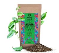 Pachamama Pure 100g - Ilex Guayusa Tea from Ecuador, Organic, No Additives