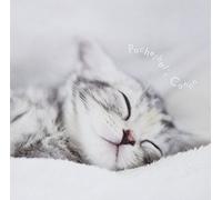 Pachelbel's Canon All Stars