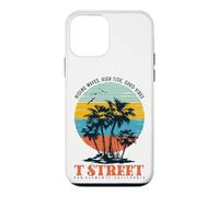 Pacific Afterglow Santa Monica California Palm Sunset Case for iPhone 12 mini