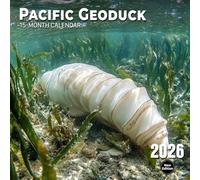 Pacific Geoduck Calendar 2026: A quirky look at one of nature’s most unusual bivalves