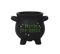 Pacific Giftware Herbs for Spells Cauldron Planter, 5.11-inch Height, Resin, Garden Decoration