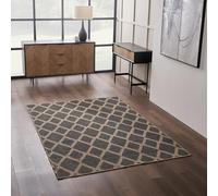 Pacific Lifestyle Large Indoor Outdoor Area Rug 160x230cm | Slate Grey & Natural Diamond Pattern | Polypropylene | Mould Resistant | Easy Clean | Garden Patio Living Room Rugs