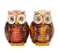 Pacific Trading Ceramic Salt & Pepper Shakers Set - OWLS New - Hand Painted Kitchen Gifts 9481