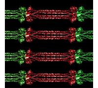 Pack 4 Foil 30cm x 2.7M Garland Christmas Ceiling Decorations - Red/Green