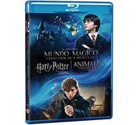 Pack Harry Potter 1 + Fantastic Beasts (DÚO HARRY POTTER 1 + ANIMÁLES FANTÁSTICOS, Spain Import, see details for languages)