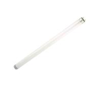 Pack of 1 x Various 10w 330mm Replacement T8 Fluorescent Tube Lamp for Electric Insect Fly Mosquito Killer