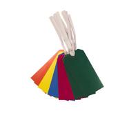 Pack Of 10 Assorted Bright Coloured Strung Tags 60 X 120mm