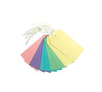 Pack Of 10 Assorted Pastel Coloured Strung Tags 60 X 120mm