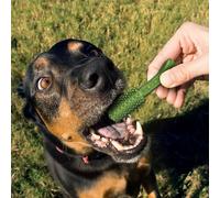 Pack of 10 dog toys Nylabone Nutri Dent Small TU