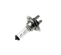 M-Tech Z7 Spare Bulb H7 12 V