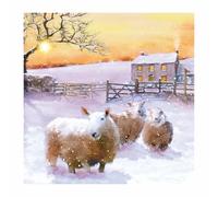 Pack of 10 Large Festive Charity Christmas & Happy New Year Cards with Envelopes - 16x16cm - Eco-Friendly & Recyclable (Sheep Flock in Snow)