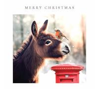 Pack of 10 Large Festive Charity Christmas & Happy New Year Cards with Envelopes - 16x16cm - Eco-Friendly & Recyclable (Photographic Donkey & Robin)