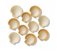 Pack of 10 Natural Scallop Shell Cups (10-13cm) | Real Sea Shells for Crafts, Candles, Soap Making, Food Presentation, Hors d’Oeuvres & Party Starters | Cleaned & Ready to Use