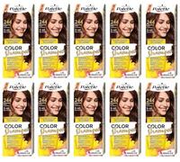 (Pack of 10) Palette Colour Shampoo 3-65 (244) Coffee Brown Hair Colour - Full Box - with English Instruction Leaflet