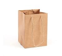 Pack of 10 Rope Handle Porto Gift Bags Natural Kraft - Florist Hand Tied Flower Bag