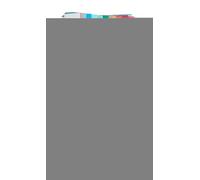 Pack of 10 Sheets of Silk Christmas Time 20gsm