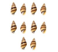 Pack of 10 Shell Buttons Buckles with Conch Design Great for Personalizing Clothing and Various Home Decoration Use Natural Shell Buttons