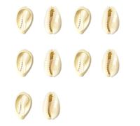 Pack of 10 Shell Buttons Buckles with Conch Design Great for Personalizing Clothing and Various Home Decoration Use Craft Supply