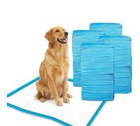 Pack of 100 Dog and Puppy Training Pads 60 x 60 cm, Leakproof, 5-Layer Design with Quick-Dry Surface, Regular