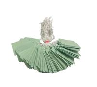 Pack Of 100 Large Light Green Strung Tags 36 X 53mm