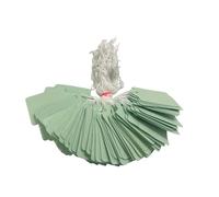 Pack of 100 Large Light Green Strung Tags Price Tickets 36 x 53mm