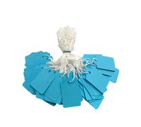 Pack Of 100 Medium Blue Strung Tags 25 X 39mm