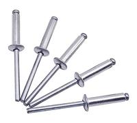 (Pack of 100 pcs) Blind Rivets 4.8 x 20 mm, Dome Head Open Type, DIN 7337, Aluminum Rivet and Steel Mandrel, Pop Rivets (100, 4.8 x 20 mm)