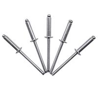 (Pack of 100 pcs) Stainless Steel Blind Rivets 4.0 x 16 mm, Dome Head, Pop Rivets, DIN 7337, A2 Rivet, Grooved Mandrel (100, 4.0 x 16 mm)