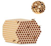 Pack of 100 Wild Bees Nesting Sleeves, 20 cm Length, Environmentally Friendly Bamboo Tubes Filling Material, Refill Pack for Insect Hotel Solitaire Insects, Nature Protection Garden