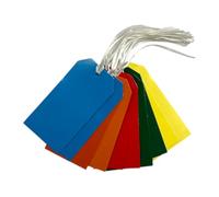 Pack of 1000 Assorted Bright Colour 120 x 60mm Strung Tags
