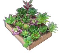 Pack of 12 Artificial Succulent Plant Decorative Unpotted Color Random