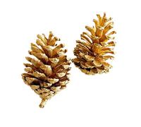 Pack of 12 Christmas Pine Cones, Natural Pine Cones, Pine Cones, Decoration, Pine Cones, Thanksgiving Ornaments, for Party, Advents, DIY Crafts, Christmas Tree, 9-12 cm, Gold A