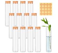 Pack of 12 Clear Test Tube with Corks, 30 mm x 120 mm Test Tubes Glass, Glass Tubes with Labels, Test Tubes for Flowers, Spices, Liquids and DIY