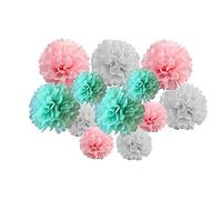 pack of 12 Pack Mixed Tissue Paper Pompom Pom Pom Hanging Garland Wedding Party Decorations (Mint/Pink Shade, mix 10" & 12" (25 cm & 30 cm))