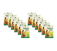(Pack of 12) Palanquin Spiced Tea 40 Tea Bag, Spiced Tea Bags, Masala Chai Tea Bags, Tea Masala Powder, Organic Spiced Tea