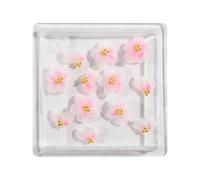 Pack of 12 Practical Resin Roses Camellia Nail Decorations Unique Manicure Suitable for Fashionable Women and Nail Lovers Resin Flowers Nail Decorations