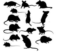 Pack of 14 Mouse/Rat Stickers - Waterproof Decals - Nursery Decor, Laptop, Scrapbooking, Car Bumpers, Water Bottle, Party Bag Fillers (Small Pack, Black)