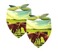 Pack of 2 Dog Bandanas Horses Pet Scarf Kerchiefs Cats Dogs Bibs Bandana