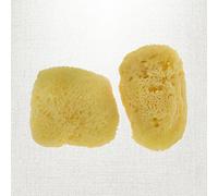 Pack of 2 Ecological Facial Sponges