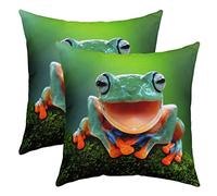 Pack of 2 Frog Decorative Throw Pillow Covers Soft Kawaii Decor Square Cushion Case Set for Sofa Bedroom Living Room Tropical Amphibian Animal Print Green Pillow Cases Pillowcases 18x18 Inch