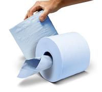 Pack of 2 Rolls | 2Ply Blue Centrefeed Paper Towels | XL Length Sheets 81cm x 17cm (185 Sheets Per/Roll) Multipurpose, Dispenser Compatible, Commercial, Automotive, Janitorial, Waste Management