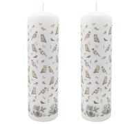 Pack of 2 Winter Birds Advent Pillar Candles | Traditional Christmas Advent Calendar Candles with Numbers - 20cm