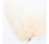 Pack of 20 15-20 cm Natural Ostrich Feathers,Bouquet Feathers for Crafts,Craft Feathers for DIY Dream Catcher Accessories,Home Decoration,Costumes,Wedding Party,Hats,Clothing Decoration,Champagne