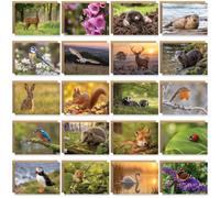Pack of 20 British Wildlife Greeting Cards. Blank Cards and Envelopes, Nature Assortment Photography Thank You Notecard Bulk Set, Eco-friendly Cards, With Envelopes and Blank Inside